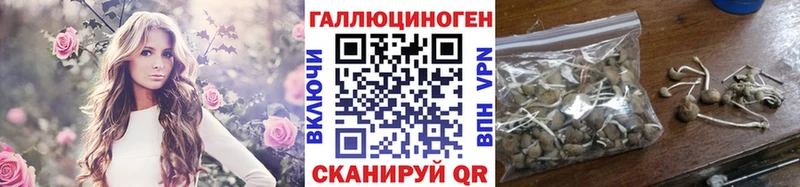 Галлюциногенные грибы мицелий  даркнет сайт  Шарья 